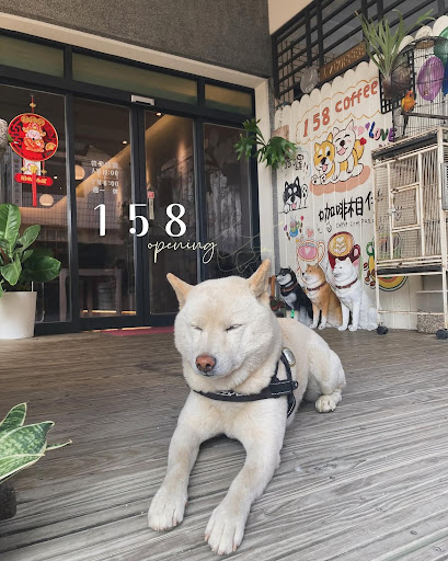 158 咖啡店長 - 柴犬